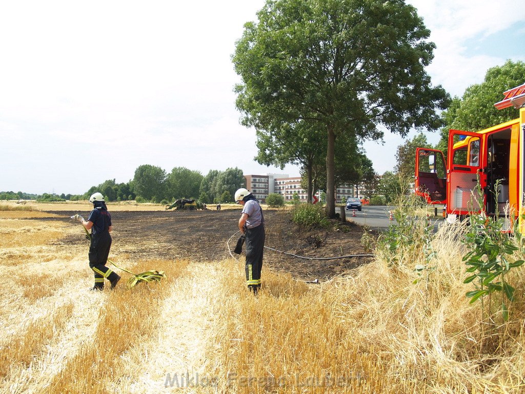 Bodenfeuer ausgeloest durch Strohballenpresse Koeln Holweide Colonia Allee P27.JPG